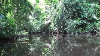 Tortuguero National Park, Costa Rica