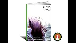Аудиомедитация Эндрю Коэн "Нельзя «немного прыгнуть». Можно только сорваться в пропасть"