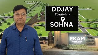 DDJAY II Paras Ekam Plots II  Ready to move plots in Sohna II Dharmander Saini II 9212020020