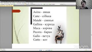 ИП Скороход/Итальянский яз/G-02107681 /СР 11.15-13.15/Соловей Ирина Алексеевна