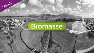 Biomasse - 08-02-2023- La Biomasse Durable au service de l'environnement et de la transition ....