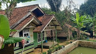 Kehidupan Di Kampung Terpencil. Cuman Ada 5 Rumah Suasana Bikin Tenang