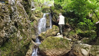 Trota torrente - L'ultima macrostigma della Fusola