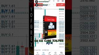 Ice Cube Scalper EA MT4 🇲QL5 COST : 280 USD 1421+  FREE DOWNLOAD 🔥🚀