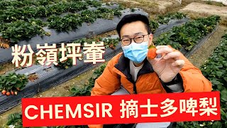 【香港旅遊】Chemsir 粉嶺坪輋士多啤梨園摘士多啤梨｜阿方士多啤梨園｜親子好去處｜香港好去處｜郊遊｜打卡景點｜香港旅遊｜香港旅行｜旅行｜親親大自然｜香港美食｜順流逆流｜開字幕睇呀