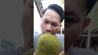 #shorts Makan buah nangka #trending #tiktok