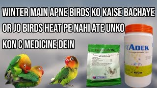 Apne Birds Ko Sardi Se Kaise Bachaye Or Jo Birds Heat Pe Nahi Atte Unko Kon Se Medicine Dein