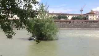 L'Arno alla pescaia di San Niccolò a Firenze