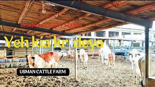 cattle farm updates/ bhains colony mandi @mandivlogswithejaz4258