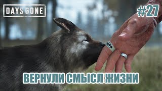 ВЕРНУЛИ СМЫСЛ ЖИЗНИ - Days Gone #27