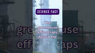 Greenhouse Effect and Global Warming