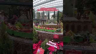 Choo choo train @ flowerdome 🇸🇬 #shortsfeed #asmr #christmas #theme #fyp #flowerdome #singapore