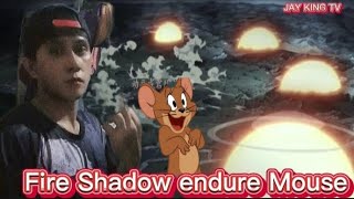 fire Shadow endure the mouse