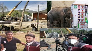 World’s loneliest elephant' Kaavan flies off to Cambodia Complete Vlog