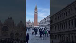 Heart of Venice - St. Marco Square 🇮🇹#shorts #short