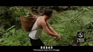 湖南巫師用草鎖蛇，山中毒蛇一動不動|Shamans use grass offerings to snakes and snakes in the mountains are motionless