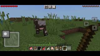 minecraft PE survival world #100subscribersspecial