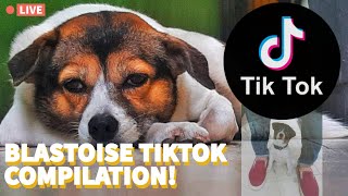 BLASTOISE TIKTOK COMPILATION | EAF Vlogs