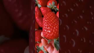 Segarnya Strowberry di Luar Negeri #hidroponik #viral