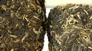 Difference about High Mountain and tea garden Puerh Tea