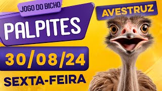 PALPITE DO DIA 30/08/2024 - JOGO DO BICHO 🍀 TODAS AS LOTERIAS 🍀