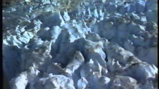 199506 VHS Alaska Glaciers During Cruise June, 1995 ... 15 minutes