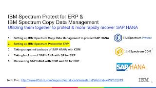 IBM SP for ERP & CDM with SAP Hana - Setting up SP for ERP - Demo