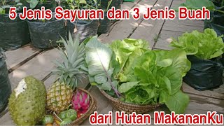 TIDAK PERLU KE PASAR| BELANJA 3 JENIS BUAH DAN 5 JENIS SAYUR DARI HUTAN MAKANANKU|