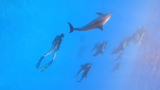 Kseniya and dolphins💙Underwater swimming.