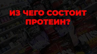 Из чего состоит протеин?