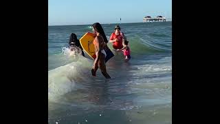 Clearwater beach Island || family picnic || 01/01/2022