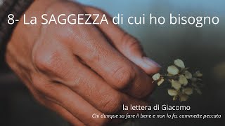 la saggezza di cui ho bisogno