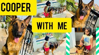 Best pet animals // me & my cooper || best kids friendly dog for home//dogs love