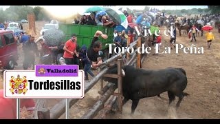 Especial del Toro de La Peña 2016 Antiguo Toro Vega (Tordesillas)