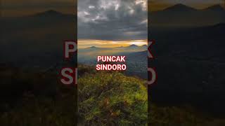 PUNCAK SINDORO