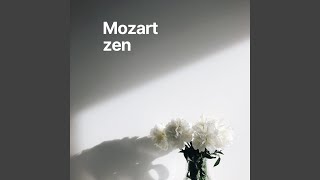 Mozart: Piano Concerto No. 22 in E Flat Major, K.482: 2g. Andante - Pt. 7