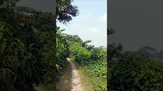 পথের বাপই বাপ রে মনা