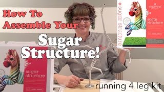 How to Assemble Your Running 4 Legged Sugar Structure