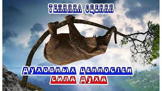 Техника оценки духовных ценностей. Сила Духа