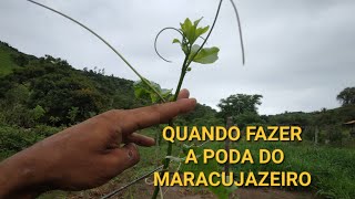 COMO FAZER A PRIMEIRA PODA DO MARACUJA?