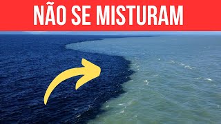 Oceano ATLÂNTICO vs. PACÍFICO: Uma Batalha Épica entre Duas Maravilhas Azuis!