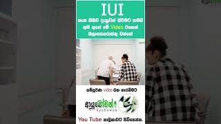 කිරි සිහින සැබෑ කරන IUI | IUI එකක් කියන්නේ මොකද්ද? #IUI #viral #Anushika Perera