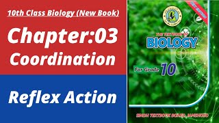 Reflex action class 10 | Biology class 10 chapter 3| Class 10 new biology book