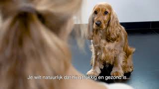 Nieuwe veterinaire voedingen voor de hond