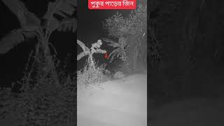 অল্পের জন্যে জীনের হাত থেকে বেছে গেছে। #shorts #shortvideo #viralvideo #bangladesh #allinone