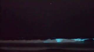 Rare bioluminescent, glowing waves show up off Huntington, Sunset and South Bay california USA