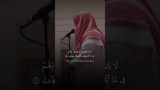 القارئ - ماجد الحازمي