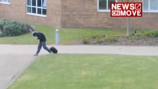 Goose attacks on boy and girl