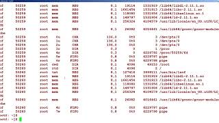 16.3 lsof   list of open files