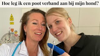 Hoe leg ik een poot verband aan bij mijn hond? | Instructievideo